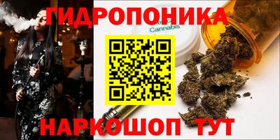 молекула духа Ижевск