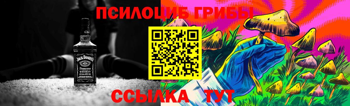 Псилоцибиновые грибы Cubensis Азнакаево